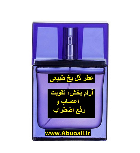 عطر گل یخ طبیعی اصل اورگانیک 