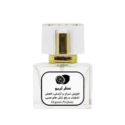 ابوعلی سینا