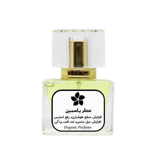 ابوعلی سینا